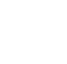 double arrow icon